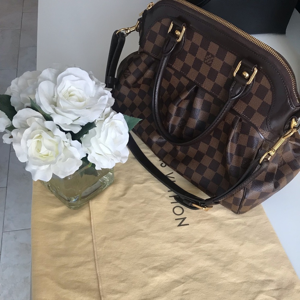 Louis Vuitton Trevi Damier Ebene Pm👜